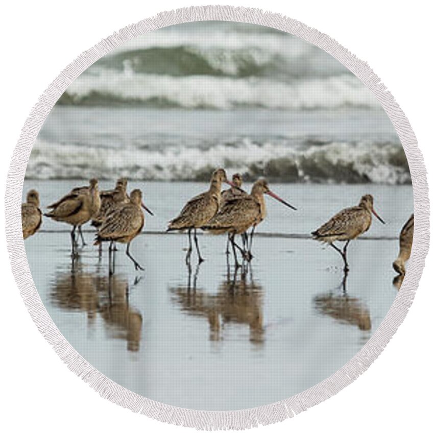 Ocean Round Beach Towel featuring the photograph Sandpipers Piping by Bob Cournoyer