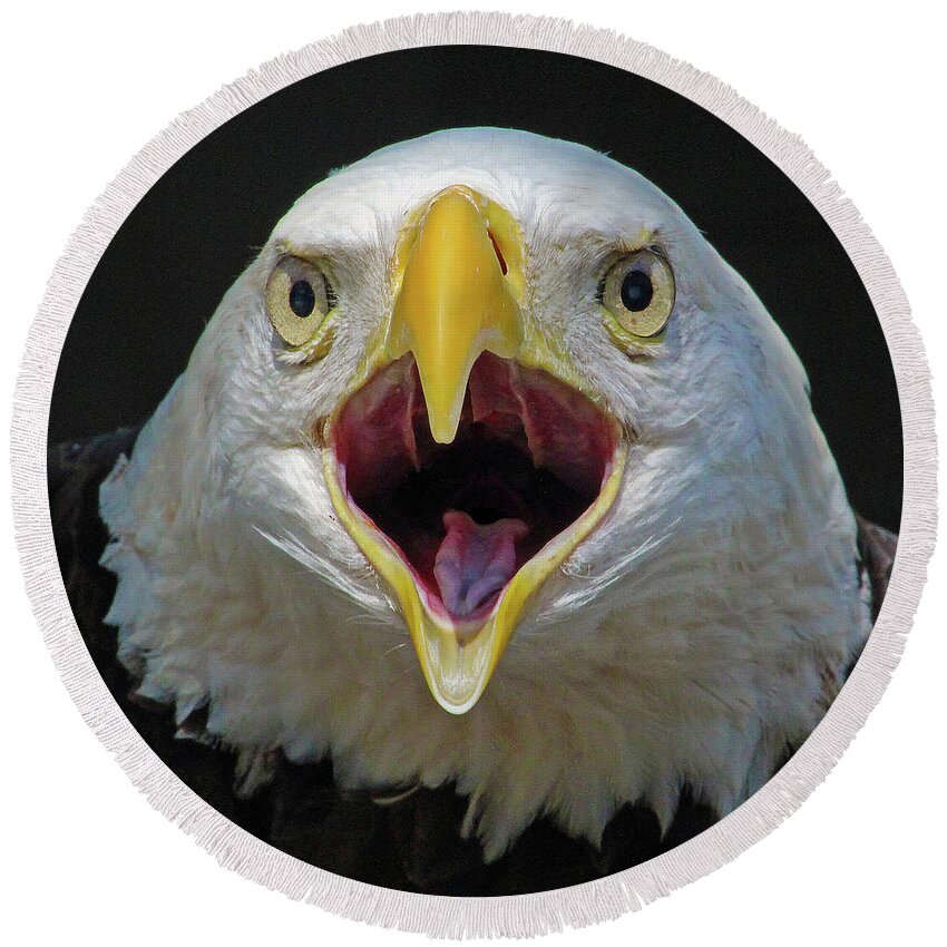 Eagle Round Beach Towel featuring the photograph Screaming Eagle by Michael Allard