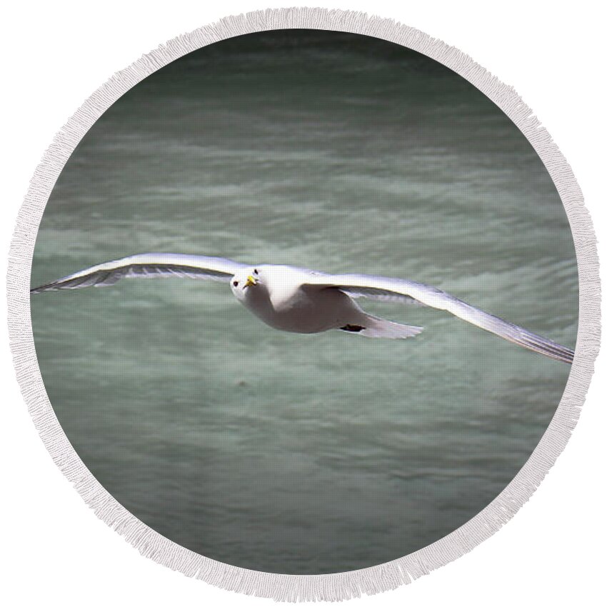 Seabird Round Beach Towel featuring the photograph Seabird Over Alaska by Veronica Batterson
