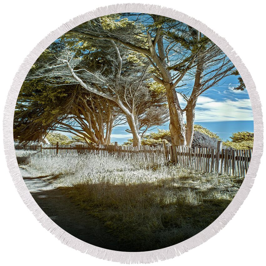 Northern California Round Beach Towel featuring the photograph Sea Ranch Coastline by Jon Glaser