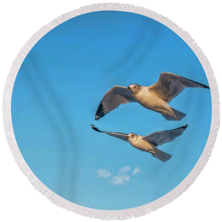 Seagulls Round Beach Towel featuring the photograph Seagulls in Flight 3 by Cathy Kovarik