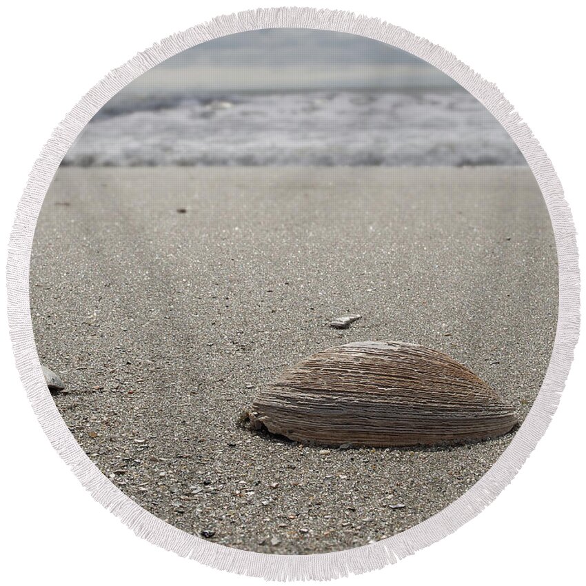 Beach Round Beach Towel featuring the photograph Seashell by David Palmer