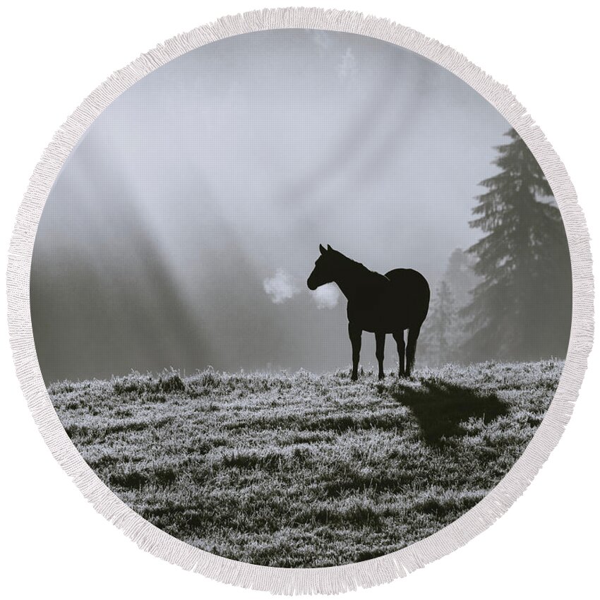 Horse Round Beach Towel featuring the photograph Serenity 2 in Monochrome by Catherine Avilez