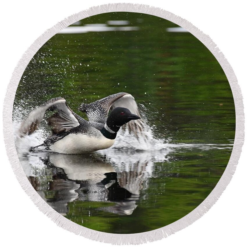 Lake Round Beach Towel featuring the photograph Skimming Loon by Steve Brown