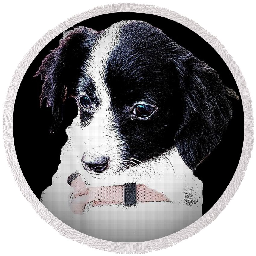 Small Dog Round Beach Towel featuring the digital art Small Dog by Cliff Wilson