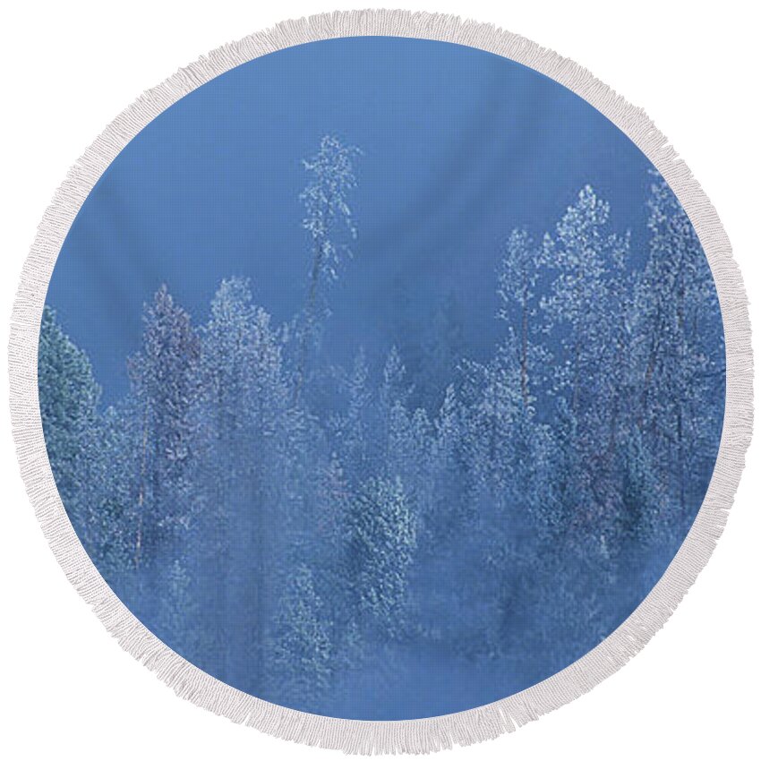 Dave Welling Round Beach Towel featuring the photograph Snow Covered Trees In Fog Yellowstone National Park Wyoming by Dave Welling