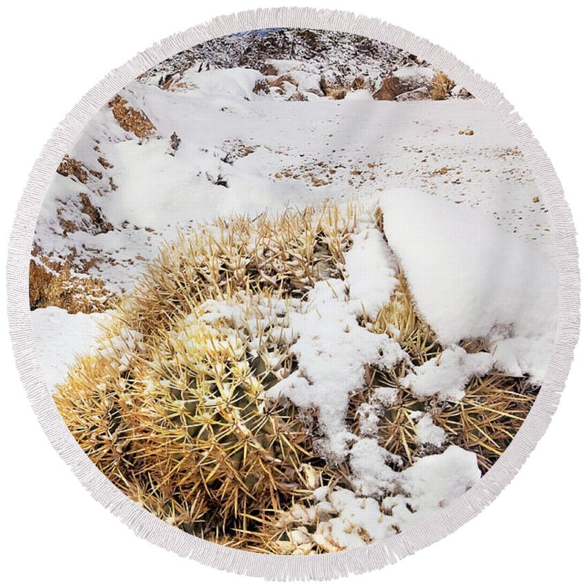 Dave Welling Round Beach Towel featuring the photograph Snow On Cactus Alabama Hills Eastern Sierras California by Dave Welling