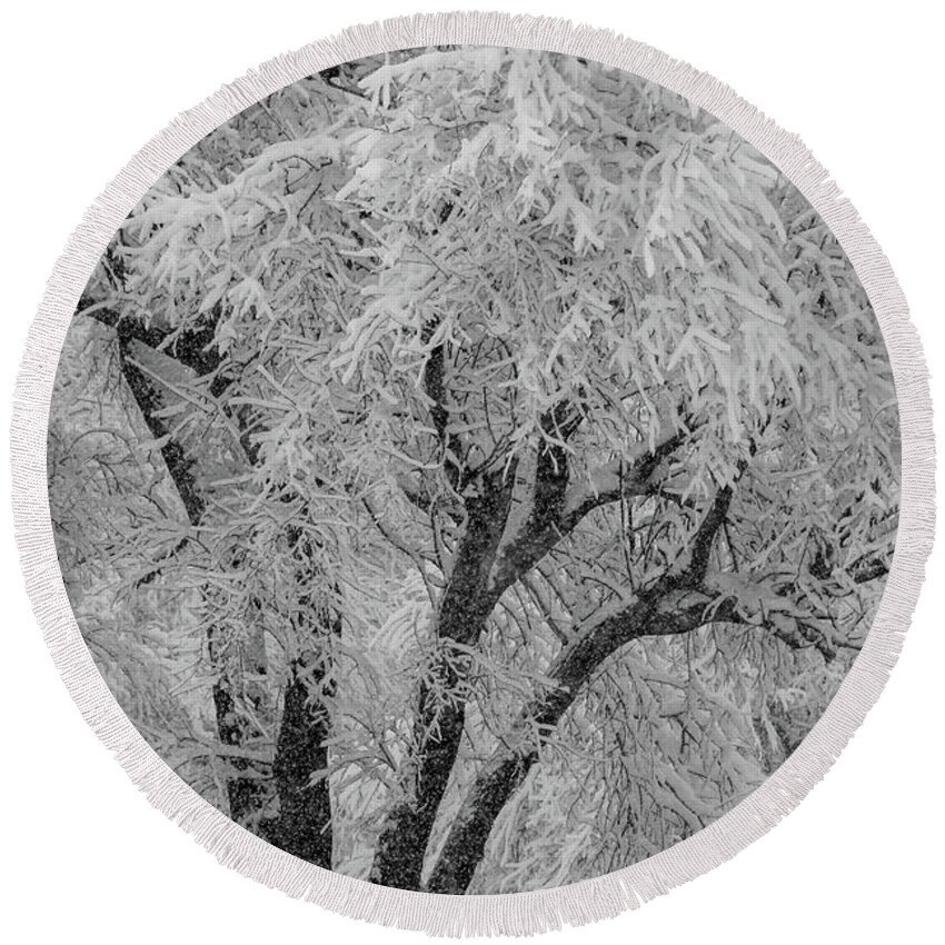 Snow Round Beach Towel featuring the photograph Snowfall Scene by Mary Anne Delgado