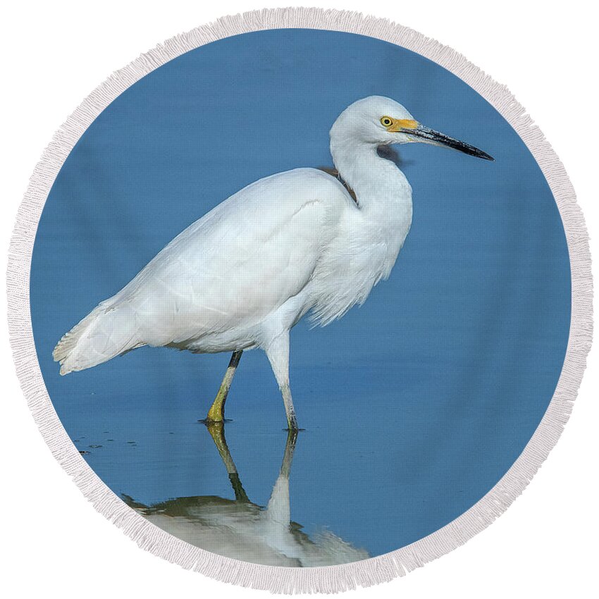 Nature Round Beach Towel featuring the photograph Snowy Egret DMSB0182 by Gerry Gantt