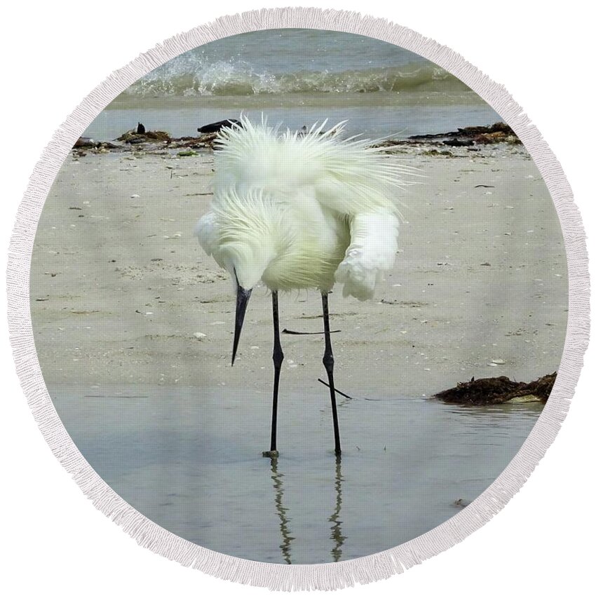 Birds Round Beach Towel featuring the photograph Snowy Egret Showoff by Karen Stansberry