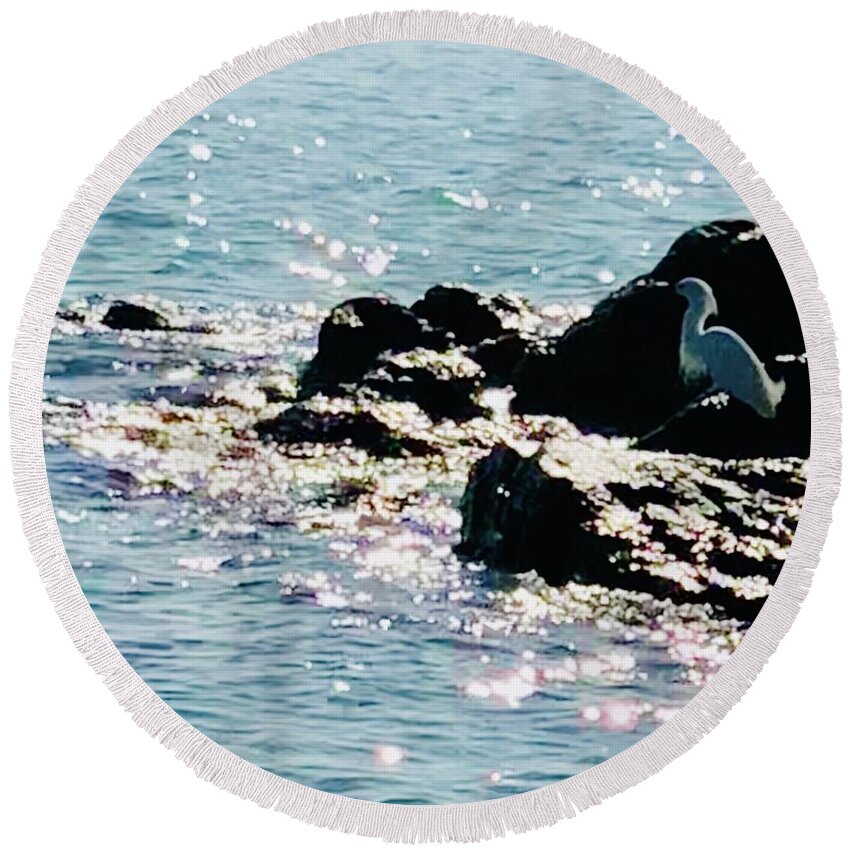 Sea Round Beach Towel featuring the photograph Snowy Egret Watching for Dinner Captiva Island by Shelly Tschupp