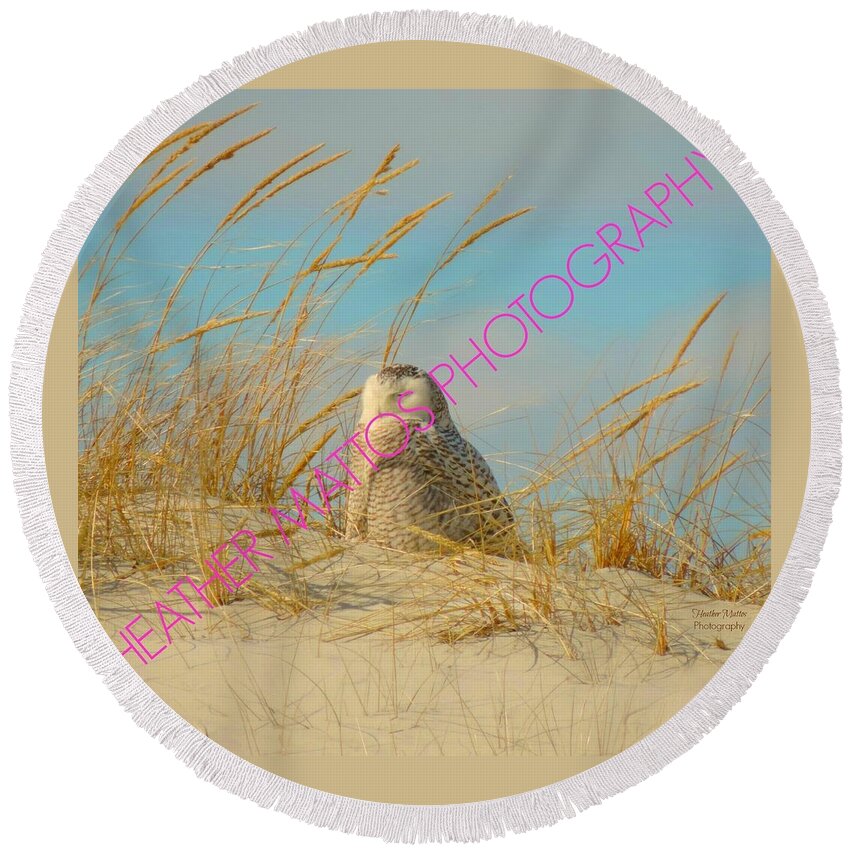 Snowy White Owl Round Beach Towel featuring the photograph Snowy White Owl - Plymouth, MA by Heather M Photography