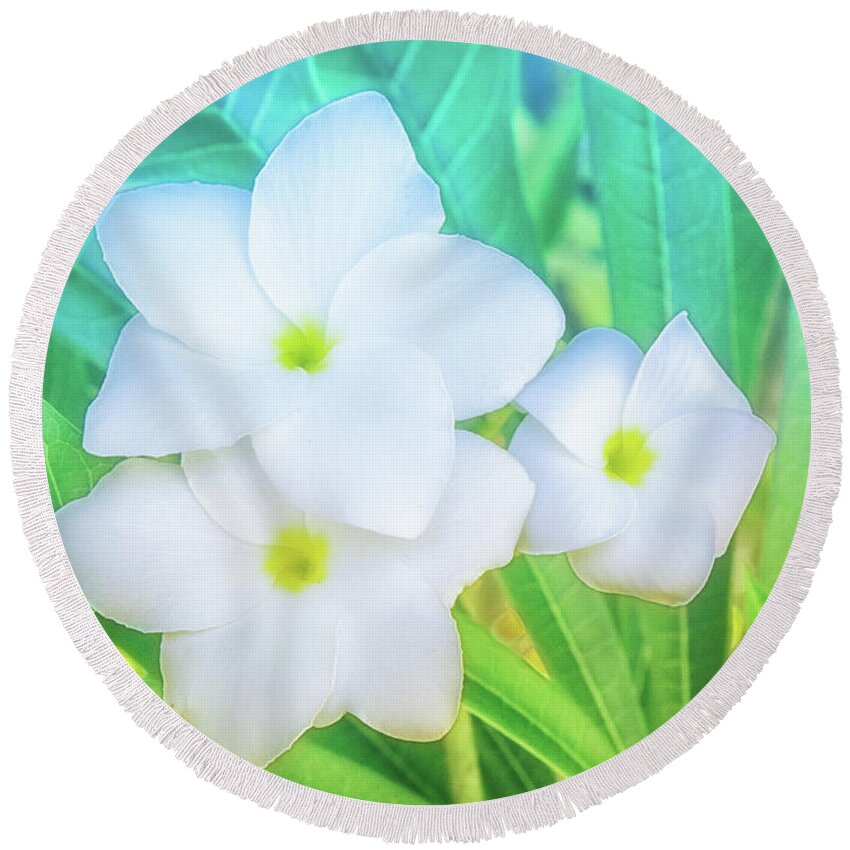 Botanical Round Beach Towel featuring the photograph Soft and Light 12 by Becqi Sherman