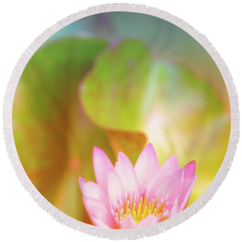 Pink Flower Round Beach Towel featuring the photograph Soft and Light 4 by Becqi Sherman