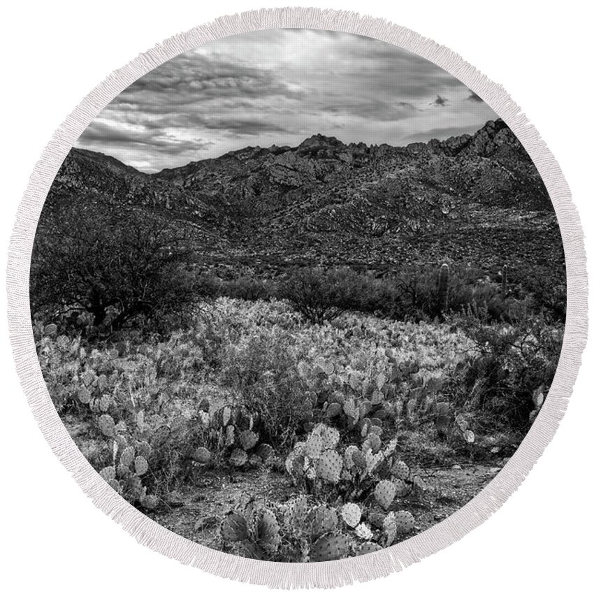 Santa Catalina Mountains Round Beach Towel featuring the photograph Sonoran Vista h1132 by Mark Myhaver