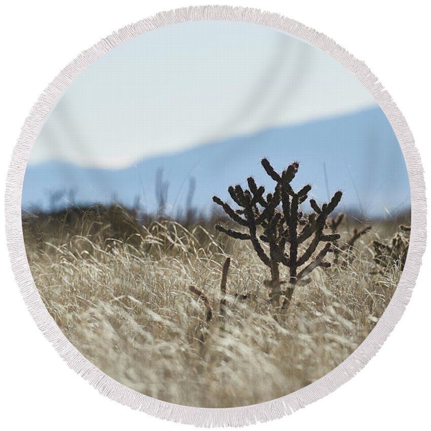 New Mexico Desert Round Beach Towel featuring the photograph Southwest Cactus In Grass by Robert WK Clark