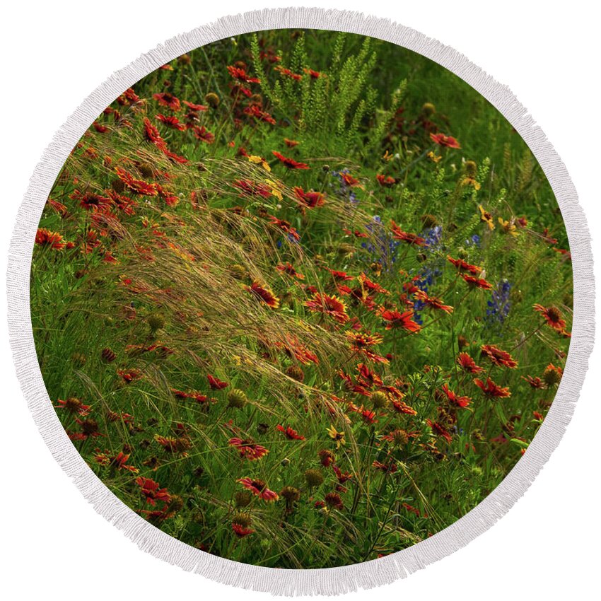 Paintbrushes Round Beach Towel featuring the photograph Spear Grass by Johnny Boyd