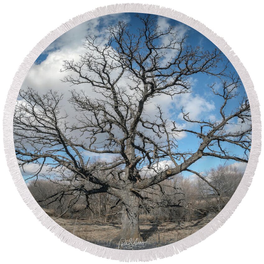 Tree Round Beach Towel featuring the photograph Spider Tree by Phil S Addis