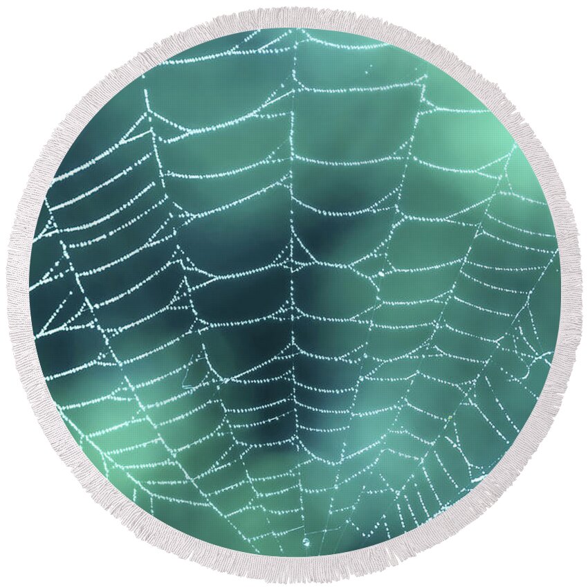 Spider Web Round Beach Towel featuring the photograph Spider web with dew by Delphimages Photo Creations