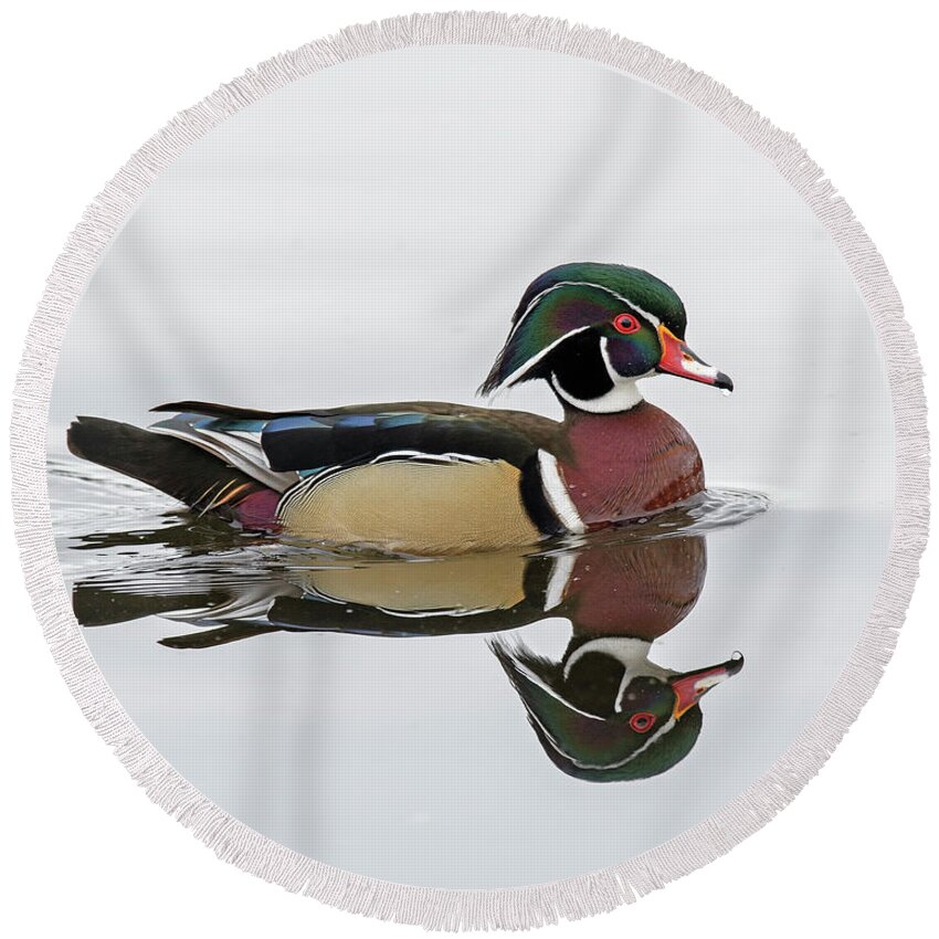Wood Duck Round Beach Towel featuring the photograph Spring Color by Jim Zablotny