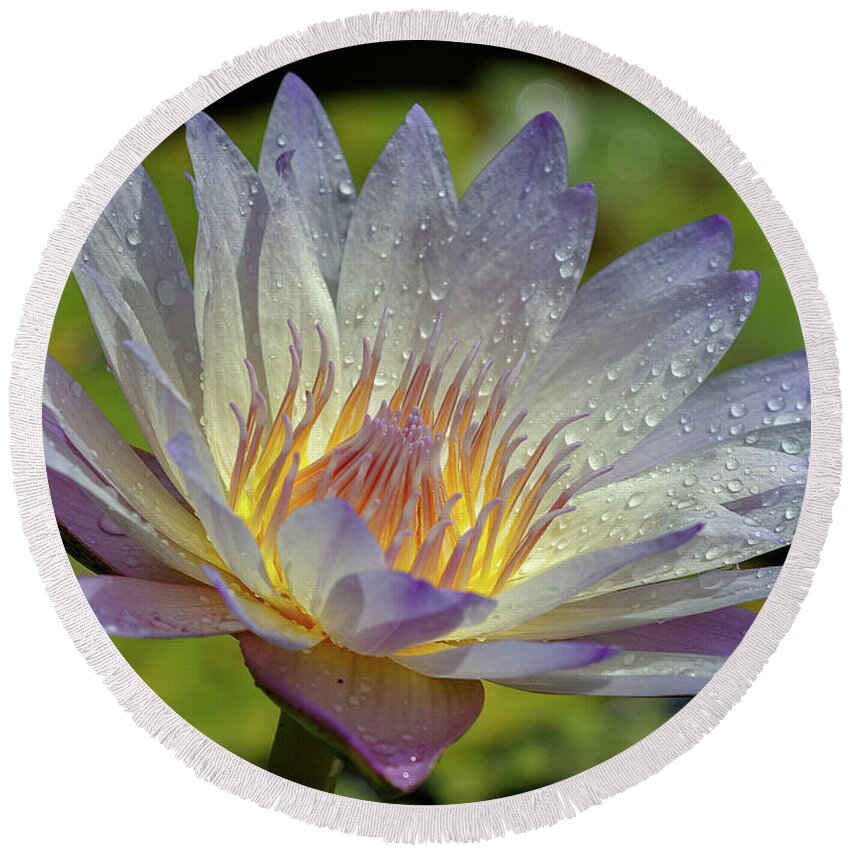 Flower Round Beach Towel featuring the photograph Spring by Les Greenwood
