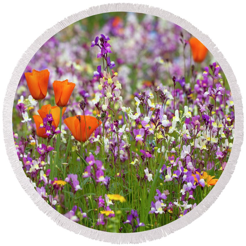 Poppies Round Beach Towel featuring the photograph Spring to Life by Vanessa Thomas