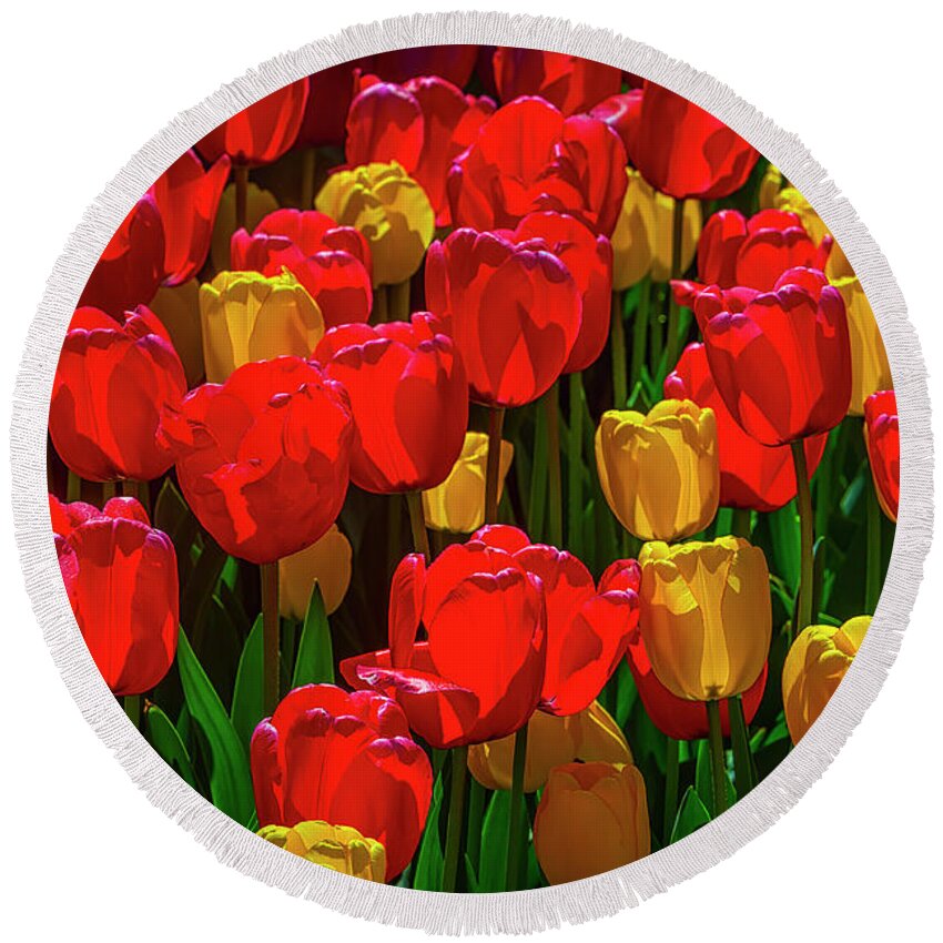 Tulip Round Beach Towel featuring the photograph Spring Tulips In Red And Yellow by Garry Gay