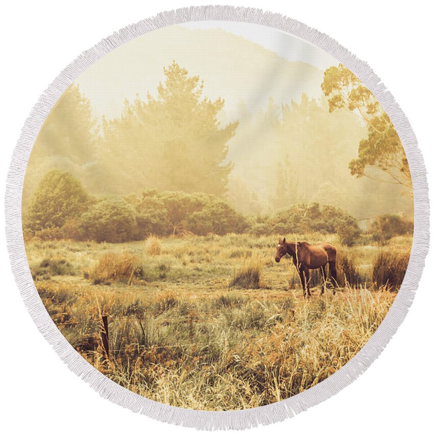 Horse Round Beach Towel featuring the photograph Stallion homestead by Jorgo Photography