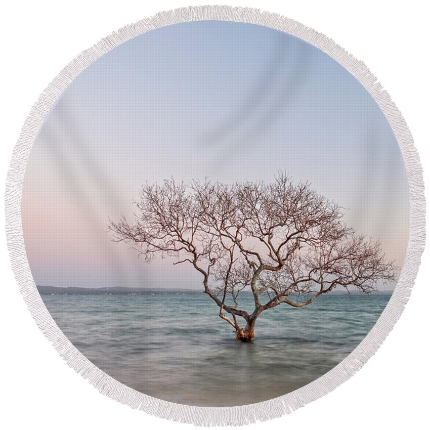 Tree Round Beach Towel featuring the photograph Still Standing by Catherine Reading