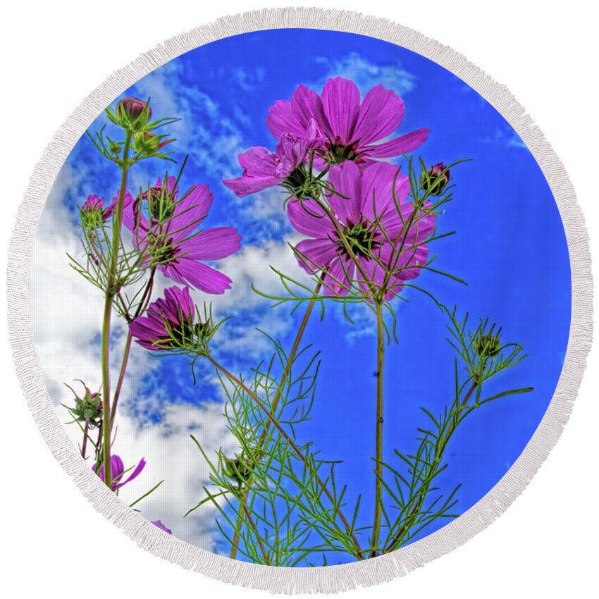 Flowers Round Beach Towel featuring the photograph Summer Sky by Alana Thrower