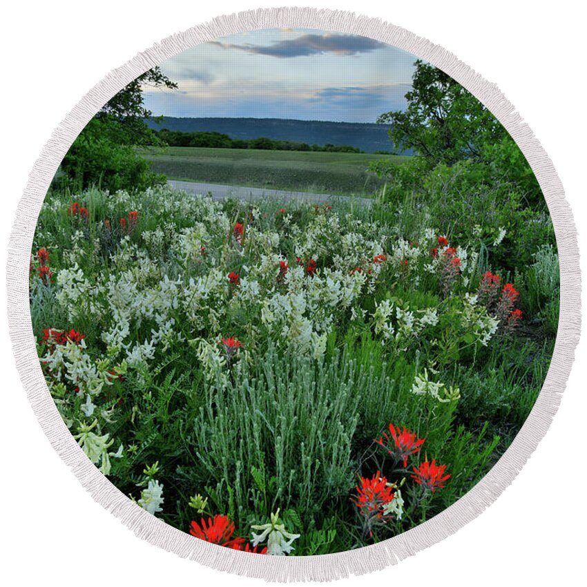 Ouray Round Beach Towel featuring the photograph Sun Setting over Dallas Divide Wildflowers by Ray Mathis