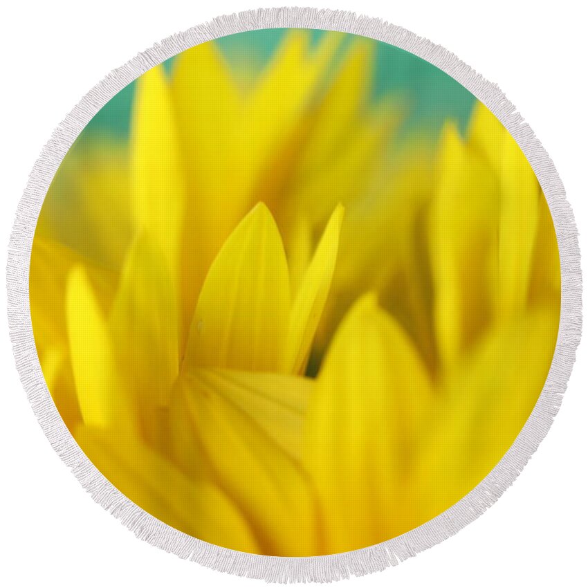 Sunflower Round Beach Towel featuring the photograph Sunflowers 695 by Michael Fryd