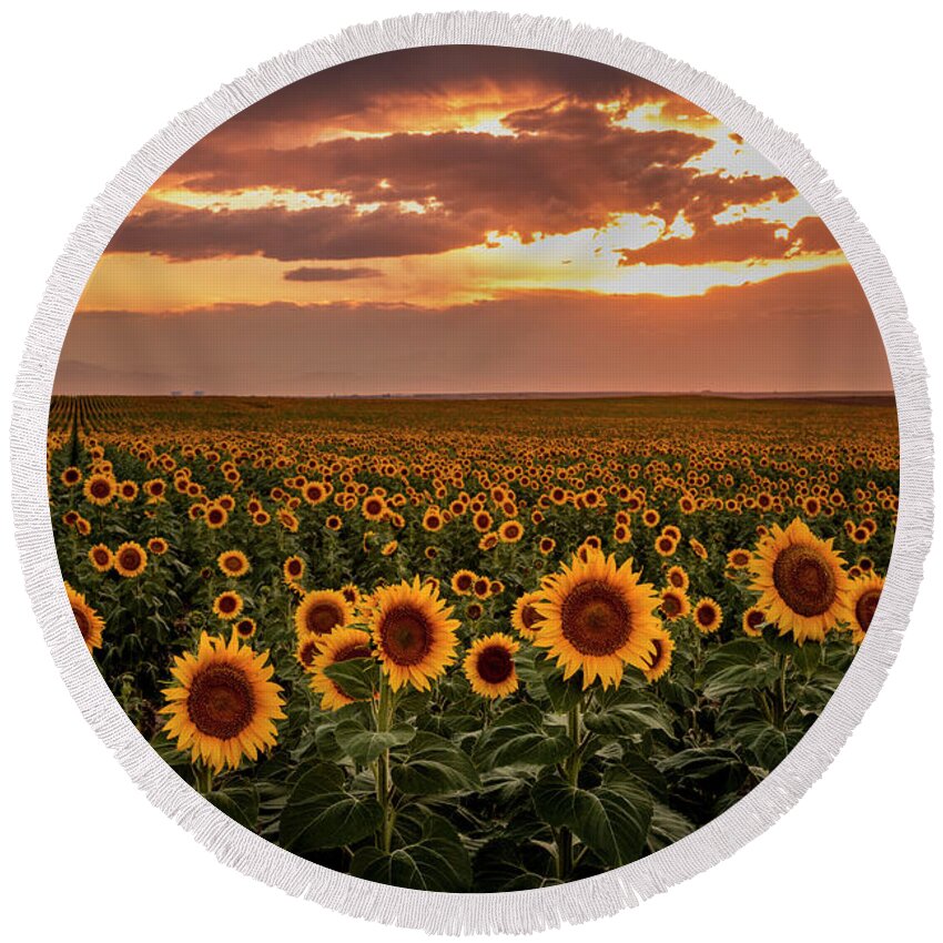 Colorado Round Beach Towel featuring the photograph Sunset Over Colorado Sunflower Fields by Teri Virbickis
