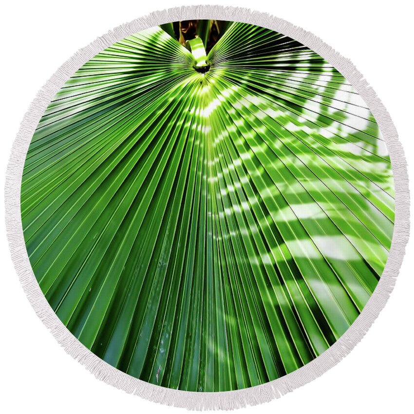 Palm Round Beach Towel featuring the photograph Sunshine On The Palm Frond by D Hackett