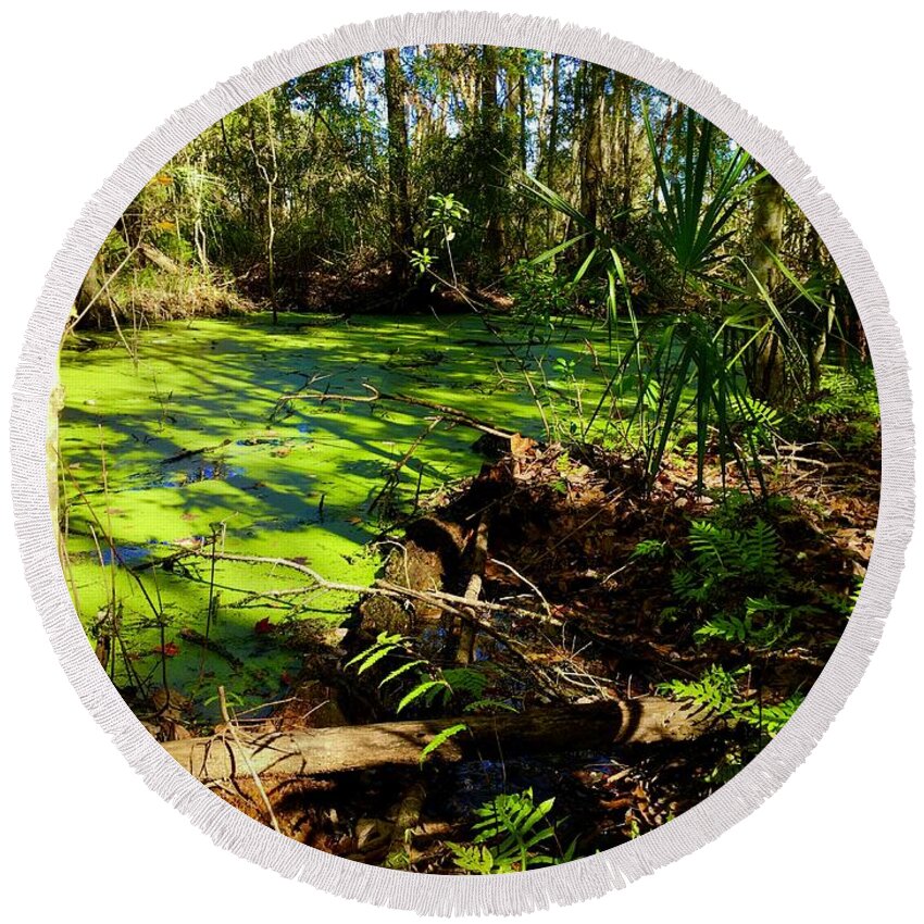 Leaves Round Beach Towel featuring the photograph Swamp Three by Alan Metzger