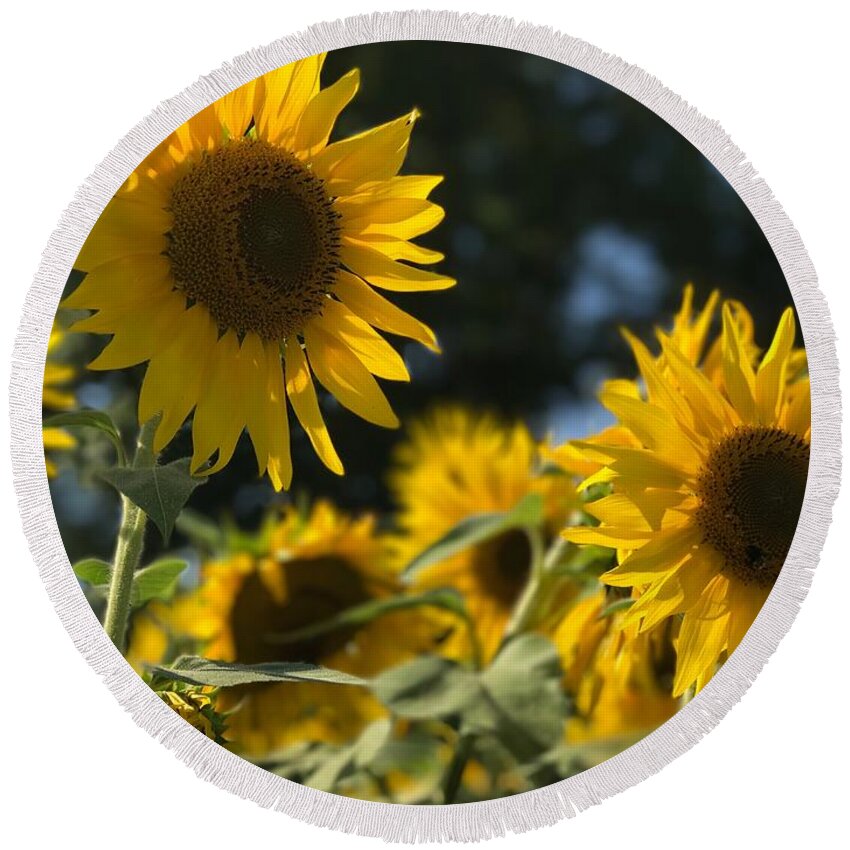Sunflowers Round Beach Towel featuring the photograph Sweet Sunflowers by Lora J Wilson