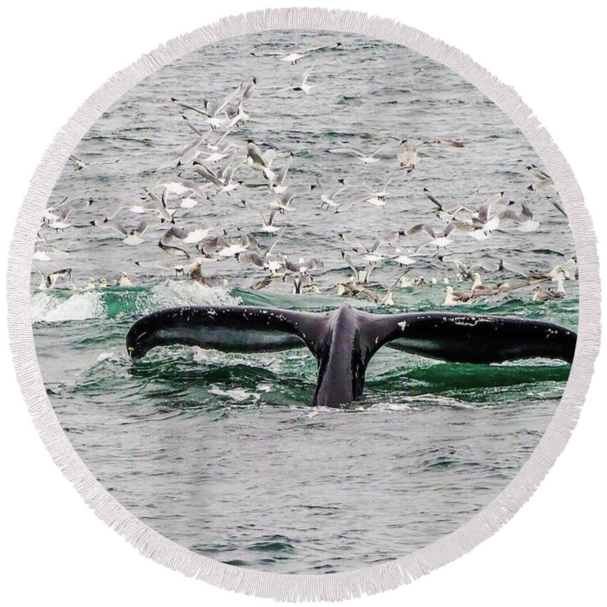 Husavik Round Beach Towel featuring the photograph Tail of a Whale by Marla Craven