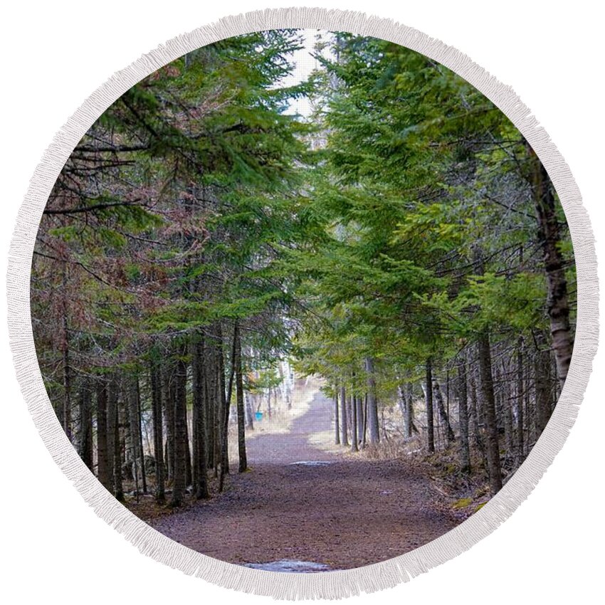 Hiking Trail Round Beach Towel featuring the photograph Take Me To The Forest by Susan Rydberg