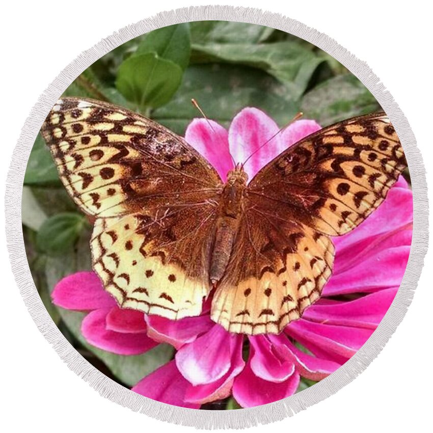Butterfly Round Beach Towel featuring the photograph Taking A Moment To Rest by Allen Nice-Webb