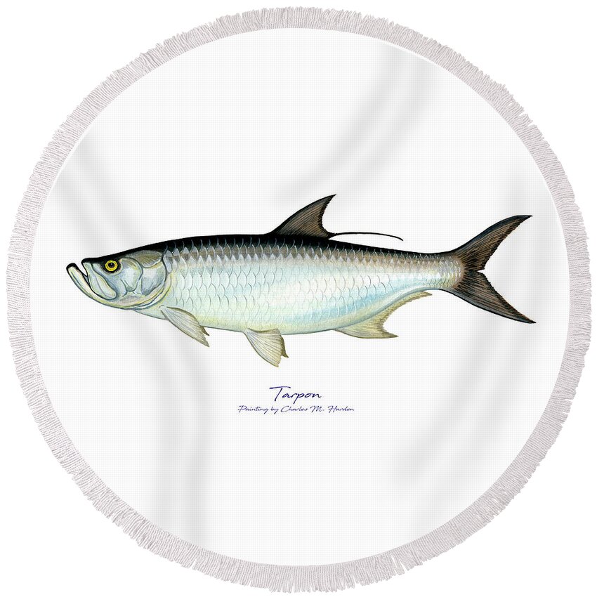 Charles Harden Round Beach Towel featuring the painting Tarpon by Charles Harden