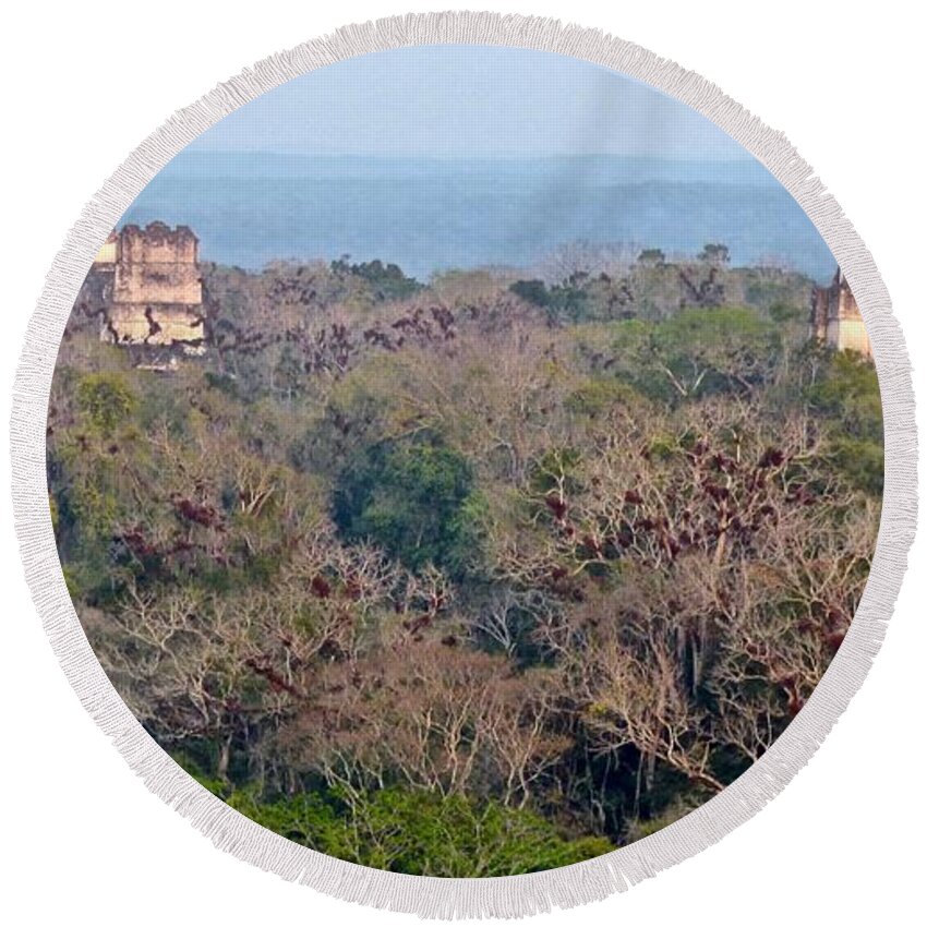Fine Art Round Beach Towel featuring the photograph Temples Jungle and Epiphytes Tikal by Amelia Racca