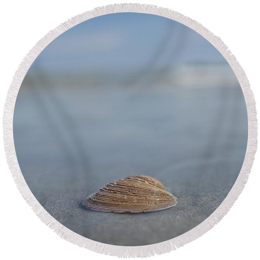 2019 Round Beach Towel featuring the photograph Testing the Water by David Palmer