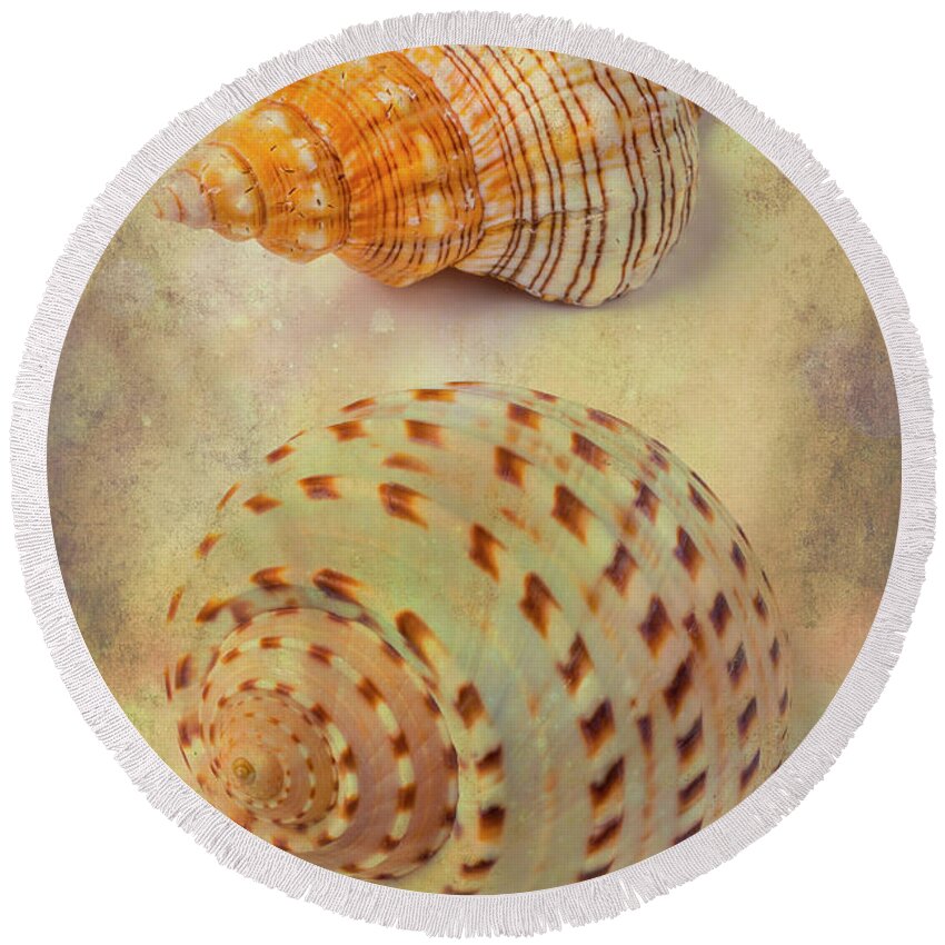 White Round Beach Towel featuring the photograph Textured Marine Shells Abstract by Garry Gay
