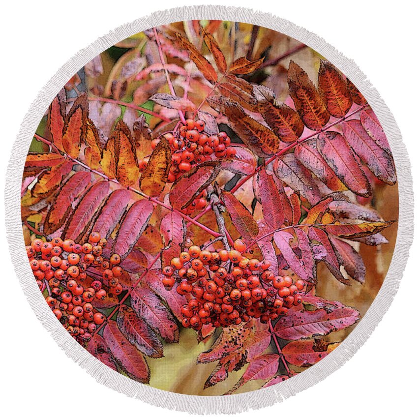 Autumn Leaves Round Beach Towel featuring the photograph Textures and Colors of Autumn by Carol Groenen