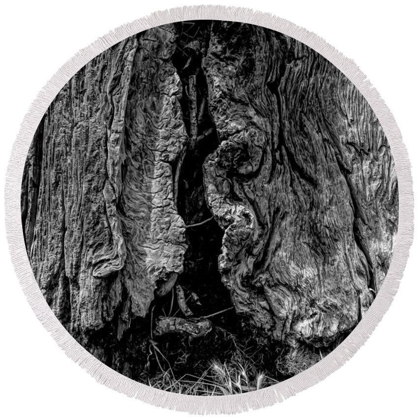 Redwood Round Beach Towel featuring the photograph The bark of a coastal redwood in black and white, natural pattern by Alessandra RC