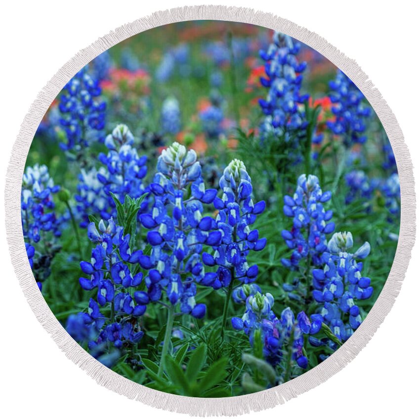 Texas Bluebonnets Round Beach Towel featuring the photograph The Blues by Johnny Boyd