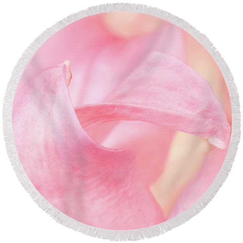 Outdoors Round Beach Towel featuring the photograph The greetings of the petals by Silvia Marcoschamer
