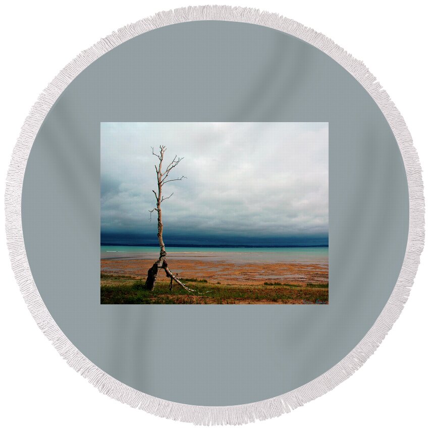  Round Beach Towel featuring the photograph The Last Birch by Rein Nomm