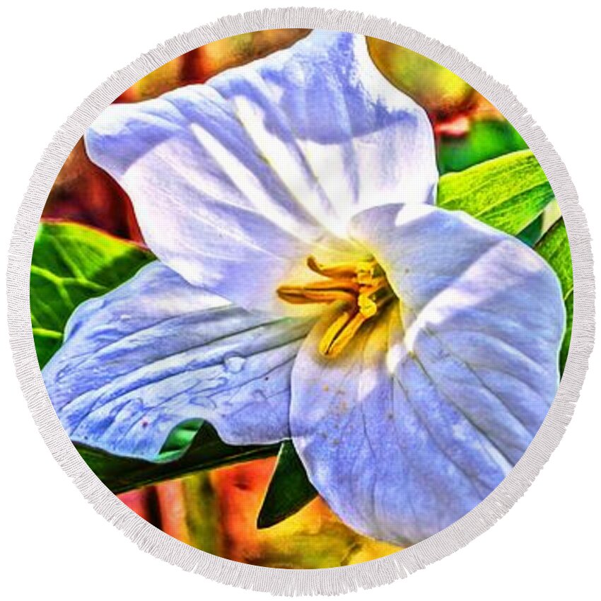  Round Beach Towel featuring the photograph The Painted Trillium 18 by Daniel Thompson