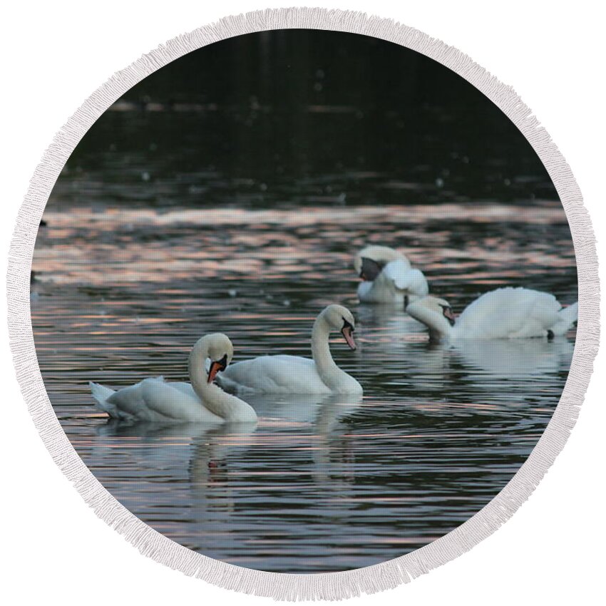 Park Round Beach Towel featuring the photograph The Serpentine's Swans and Ducks by Laura Smith